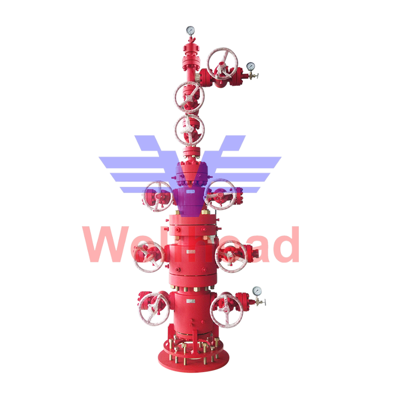 Wellhead and Christmas Tree Assembly for Oil and Gas Production